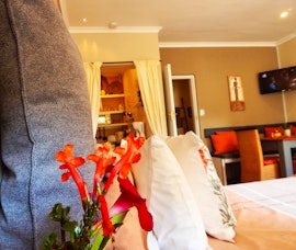 Cape Town Accommodation at  | Viya