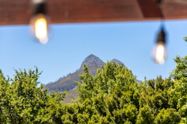 Stellenbosch Accommodation at  | Viya