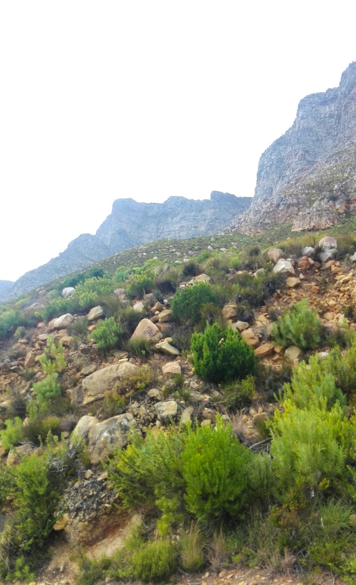 Western Cape Accommodation at Stones Throw | Viya