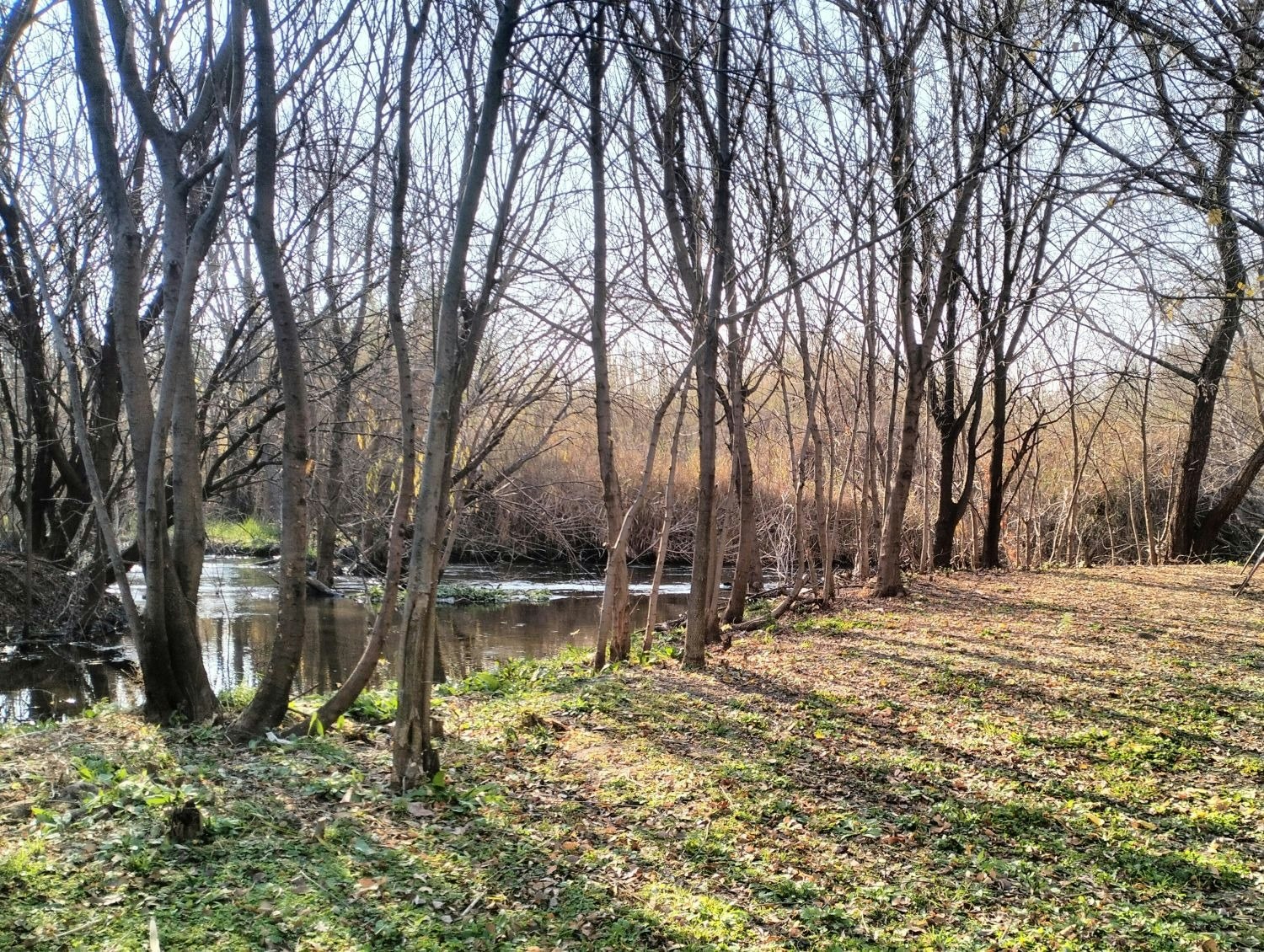 The River's Bend image no 1 of 12