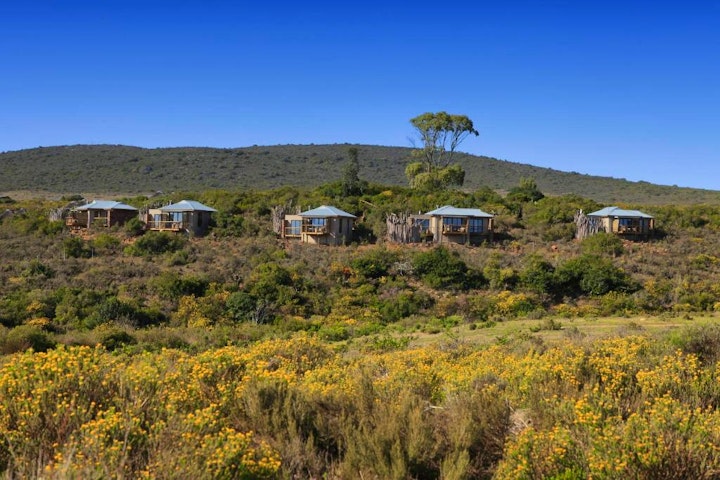 Garden Route Accommodation at Garden Route Game Lodge | Viya