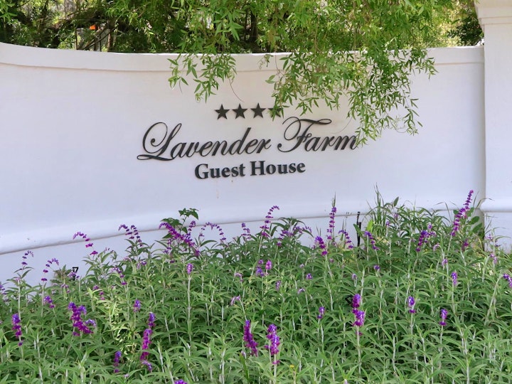 Western Cape Accommodation at Lavender Farm Guest House | Viya