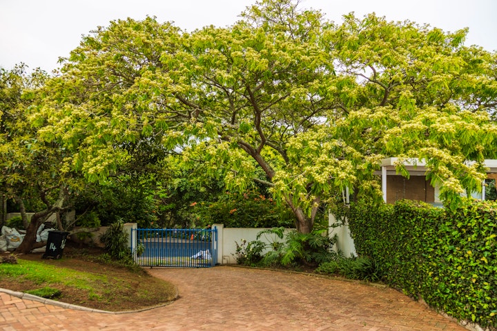 KwaZulu-Natal Accommodation at Villa Teodora | Viya