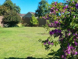 Western Cape Accommodation at Tisha Llama Self-catering | Viya