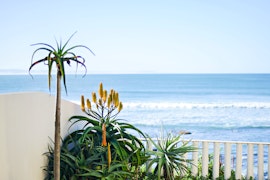 Jeffreys Bay Accommodation at  | Viya