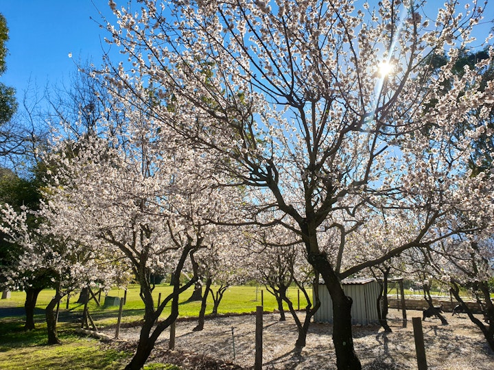 Western Cape Accommodation at La Ferme | Viya