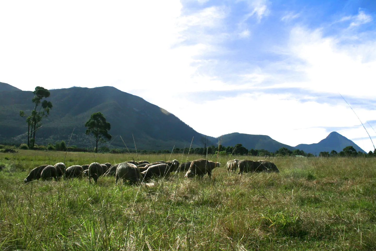 Love Earth Farm LekkeSlaap