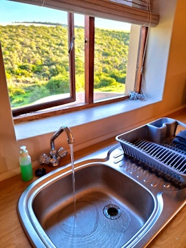 Western Cape Accommodation at The Shy Bushbuck | Viya