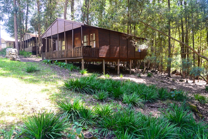 Garden Route Accommodation at Plett Forest Cabins & Wedding Venue | Viya