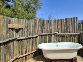 Western Cape Accommodation at The Fig Tree House | Viya