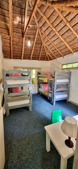 Amathole District Accommodation at Never Daunted Mad House | Viya