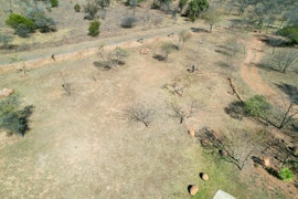 Dinokeng Game Reserve Accommodation at  | Viya