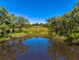 Dinokeng Game Reserve Accommodation at Klipdrift Sands Bush Camp | Viya