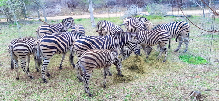 Kruger National Park South Accommodation at Kruger Riverside Lodge | Viya