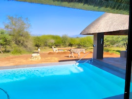 Kruger To Canyons Accommodation at  | Viya