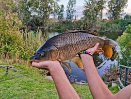 Overberg Accommodation at Shady Creek Cottage | Viya