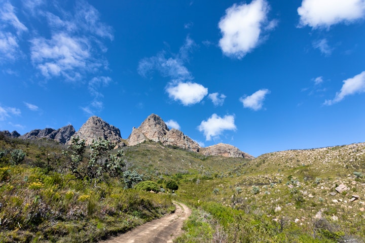 Western Cape Accommodation at Zielenrust | Viya