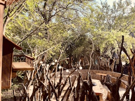 Kruger National Park South Accommodation at  | Viya