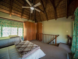 Dinokeng Game Reserve Accommodation at  | Viya