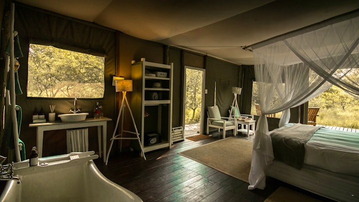 Limpopo Accommodation at Ngama Tented Safari Lodge | Viya