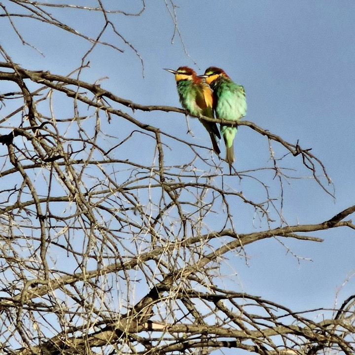 Waterberg Accommodation at Groendraai River Cottages | Viya