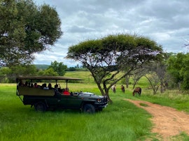 Waterberg Accommodation at Rietfontein Guest & Safari Lodge | Viya