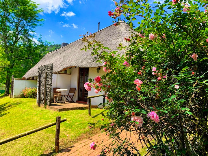 KwaZulu-Natal Accommodation at Bramleigh Farm | Viya