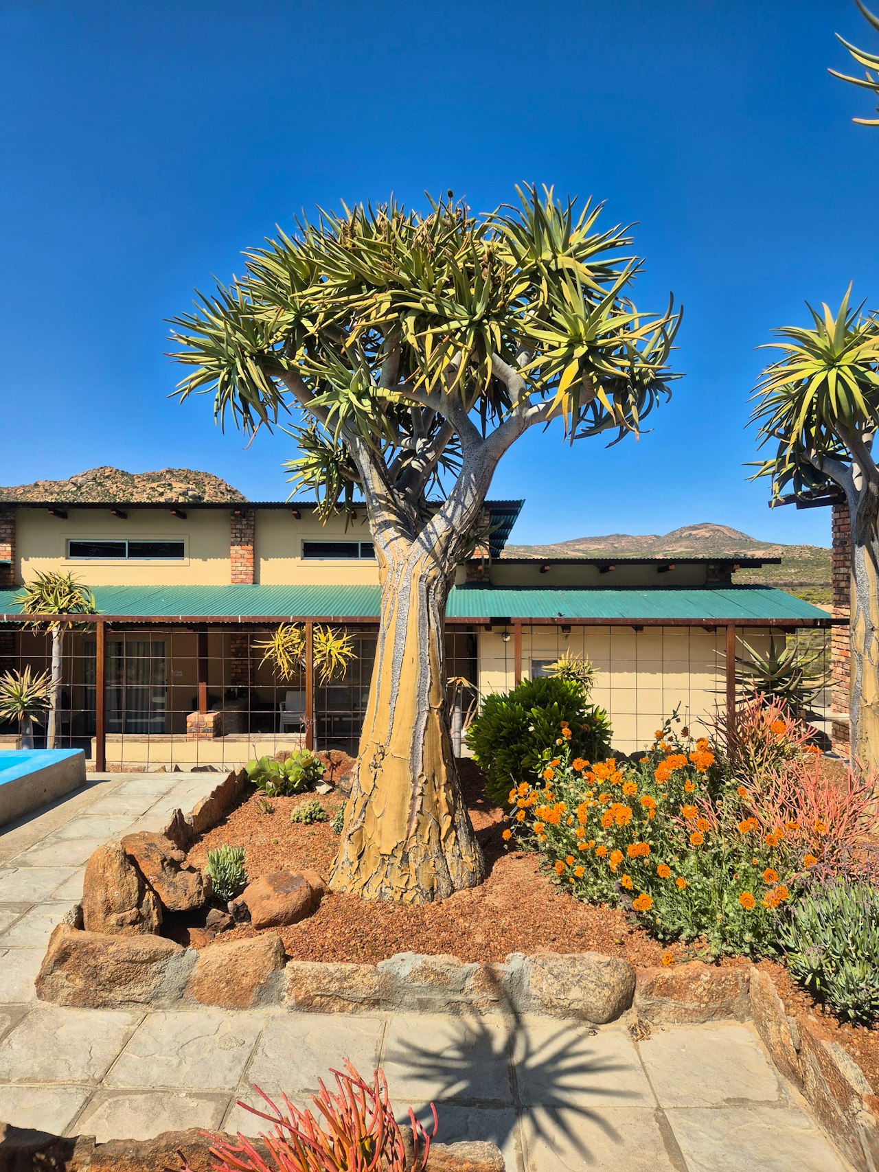 Namaqualand Accommodation at  | Viya