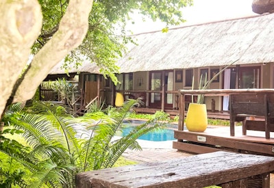  at Nyathi Lodge | TravelGround
