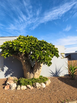 Overberg Accommodation at Protea Cottage | Viya