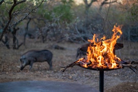 Kruger National Park South Accommodation at  | Viya