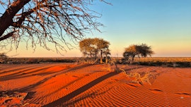 Namibia Accommodation at Jansen Kalahari Guest Farm | Viya