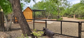 Kruger National Park South Accommodation at Inyathi Inn | Viya