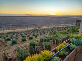 Karoo Accommodation at  | Viya