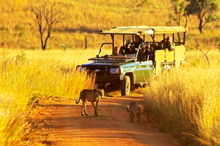 Limpopo Accommodation at Kololo Game Reserve | Viya