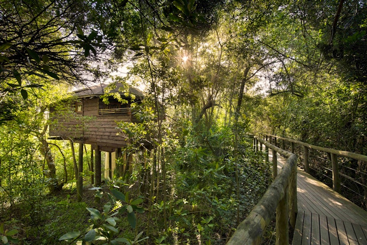 Garden Route Accommodation at Tsala Treetop Lodge | Viya