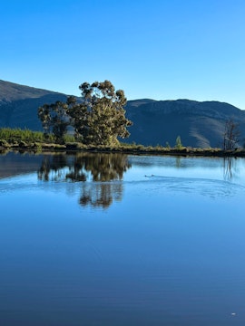 Western Cape Accommodation at Protea Farm | Viya