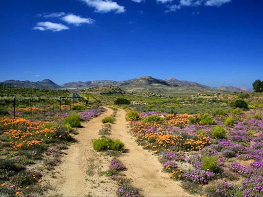 Namaqualand Accommodation at  | Viya