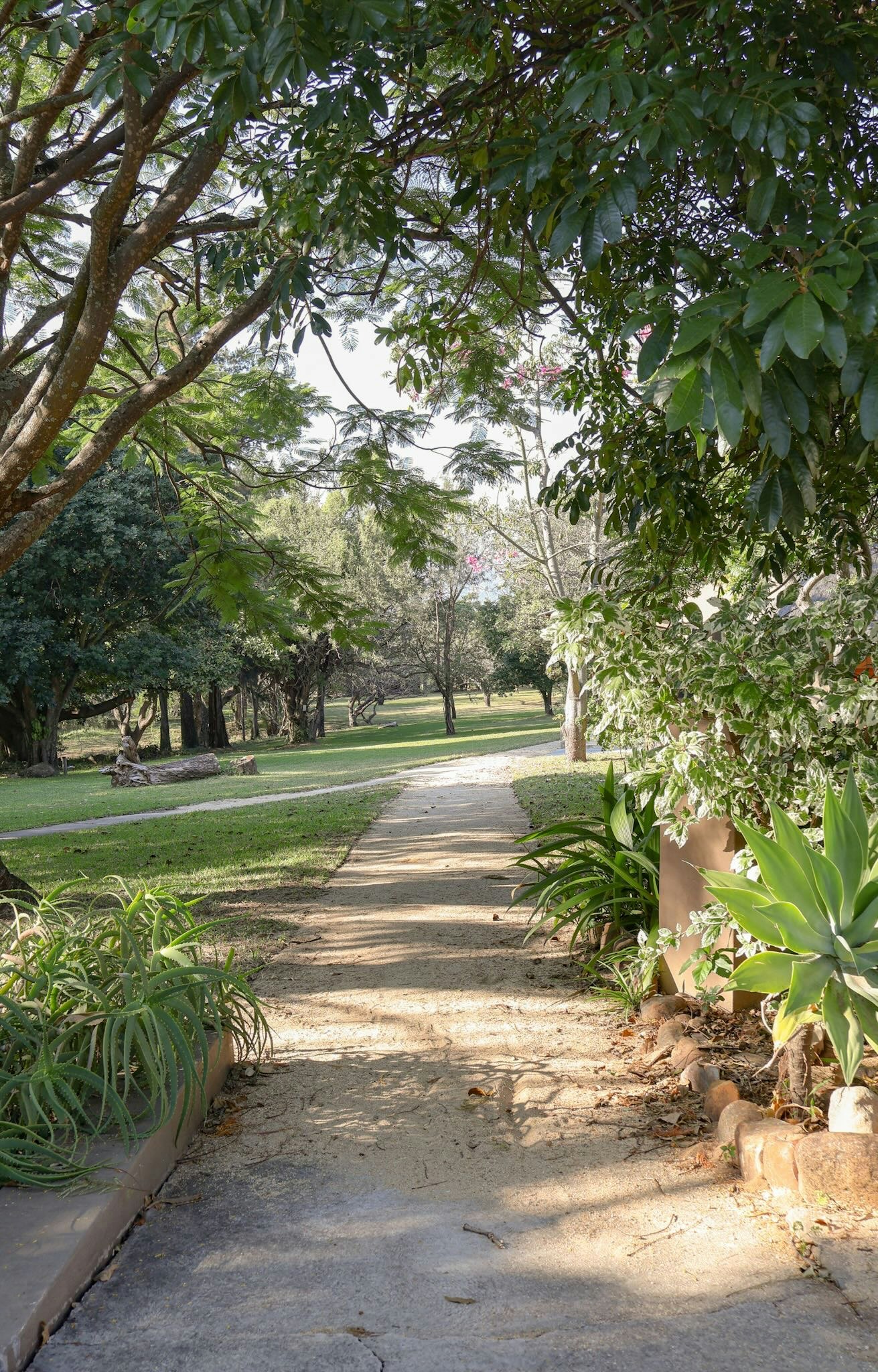 Kruger Foothills Lodge image no 5 of 7