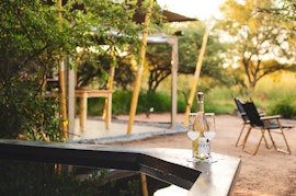 Dinokeng Game Reserve Accommodation at  | Viya