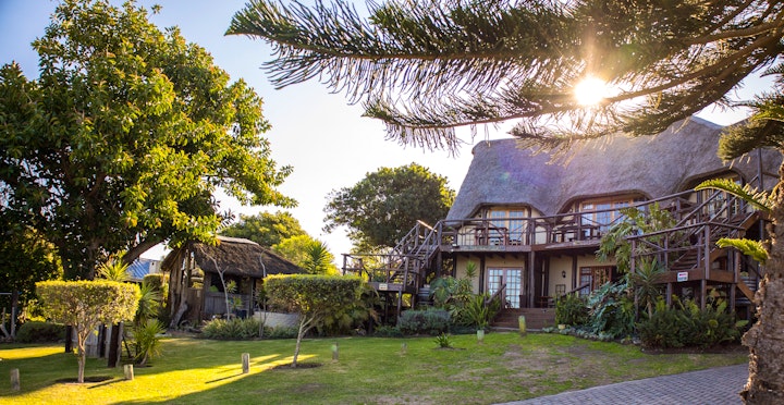 Eastern Cape Accommodation at The Birdhouse | Viya