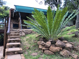 Limpopo Accommodation at Elandsvlei Estate Luxury Tent | Viya