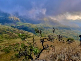 Drakensberg Accommodation at Ingwe Cabin @ iKhayalamafu Nature Reserve | Viya