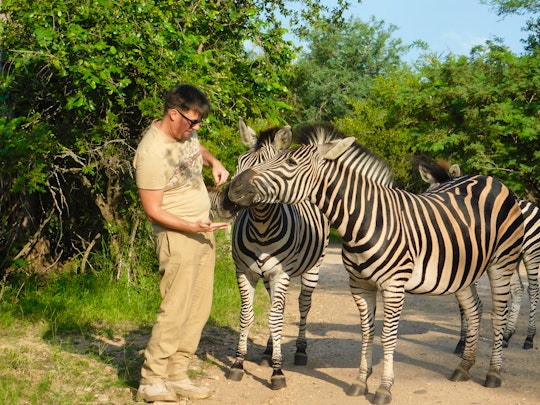 Kruger National Park South Accommodation at  | Viya