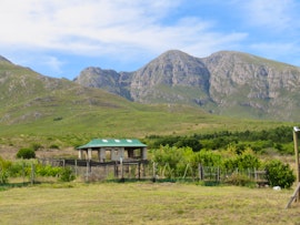 Garden Route Accommodation at Renewal Retreat Poplar Cabins and Camping | Viya