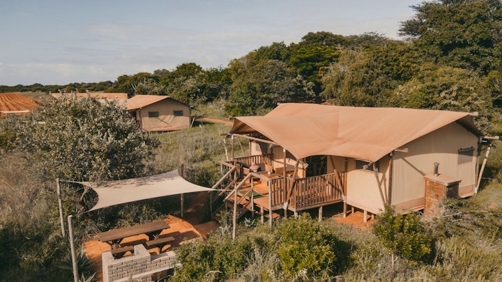 KwaZulu-Natal Accommodation at Hluhluwe Bush Camp Glamping Village | Viya