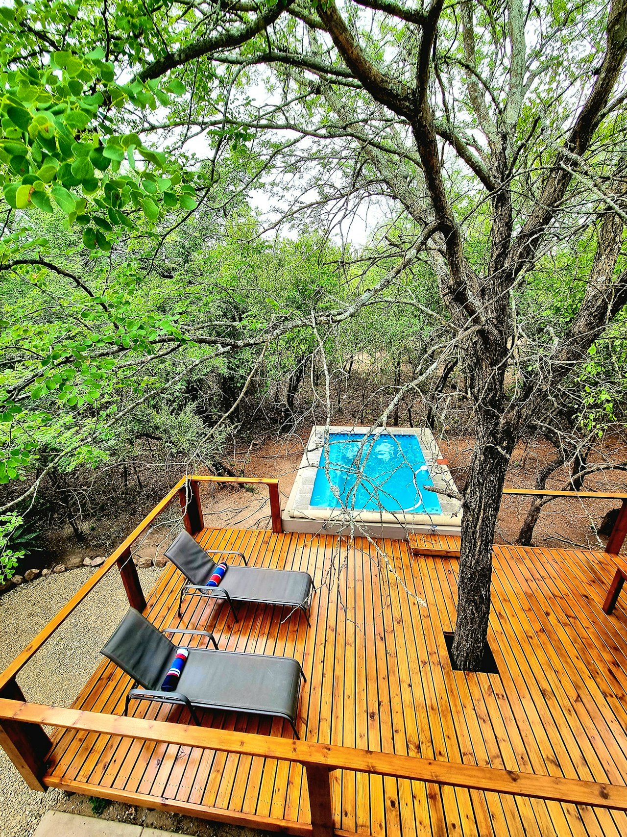 Kruger National Park South Accommodation at  | Viya