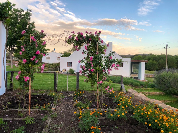 Western Cape Accommodation at Alpaca Inn | Viya