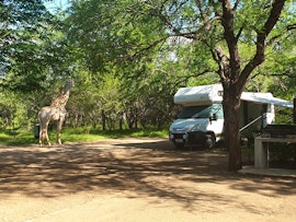 Kruger National Park South Accommodation at  | Viya