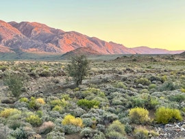 Karoo Accommodation at Paardefontein Karoo Stay | Viya